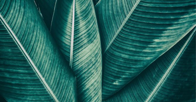 What's Going On When Your Hips Are Making Noise?