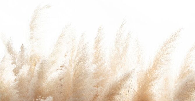 What's Going On When Your Hips Are Making Noise?