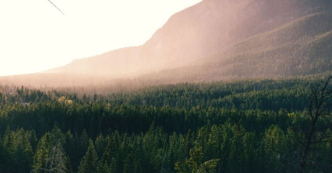 The Importance of Spinal Health for Overall Wellness